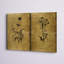 Croquis d'or Botanique I - Ensemble de 2 peintures sur toiles-1923527858-1923527862-1982830814