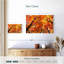 Auvent d'automne Alvord-111831358