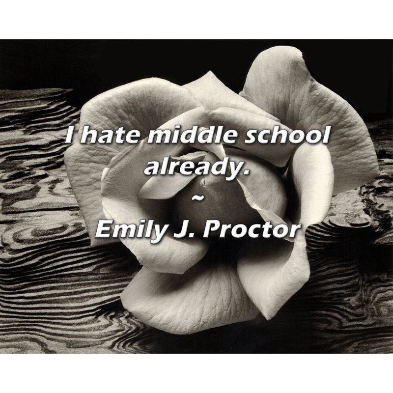 Emily J. Proctor Citation: Je déteste déjà l'école intermédiaire.