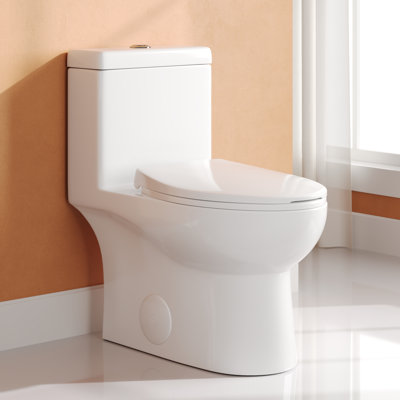 Ally Dual-Flush Elongated One-Piece Toilet with Glazed Surface Modern Toilet with Comfort Seat Height  (Seat Included) -  DeerValley, DV-1F52816