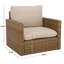 Emma Outdoor Lounge Chair with Cushions