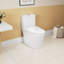 Toilette monobloc allongée au plancher 1,1 / 1,6 GPF à hauteur confort, certifiée CUPC, certifié Watersense, céramique, couleur blanche, siège à fermeture en douceur, T036WT