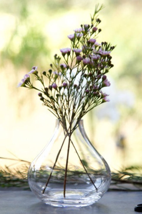 Vases, Urns, Jars, & Bottles