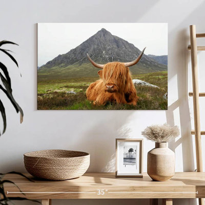 Brampt Highland Cow Serenity