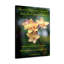 «Blessed Be The God and Father 2 Corinthians 1: 3-4», décoration murale chrétienne-2024964885