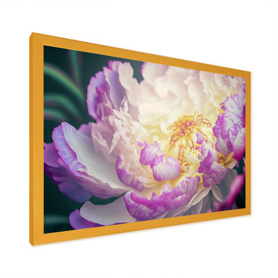 Pink And White Peony In Spring I " Pink And White Peony In Spring I "