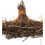 Twigs 6 - Light Chandelier
