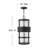 Saturn 1-Light Outdoor Hanging Lantern