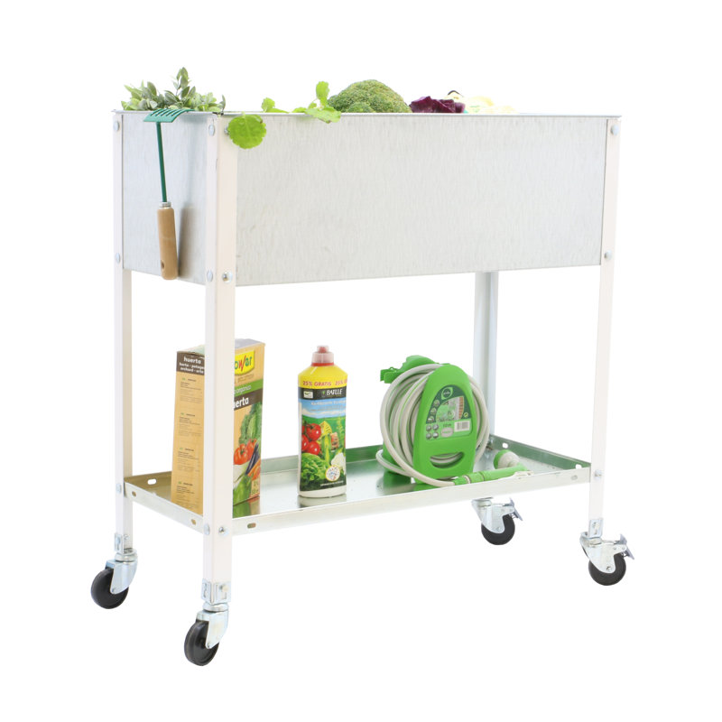 Alexay 90 cm W Adjustable Height Shelving Unit