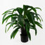 60cm Faux Plant in Pot Liner