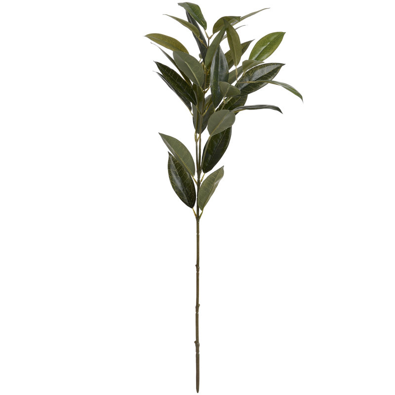 40cm Ruscus Branch