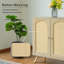 Almath Wicker/Rattan Rectangle Accent Cabinet