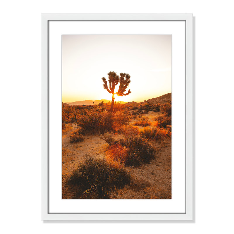 «Desert Dawn» par Joshua Earle - reproduction imprimée, H 23 po x l 17 po x P 1,25 po, Cadre blanc, Blanc