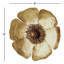 3 Piece Golden Poppy Set