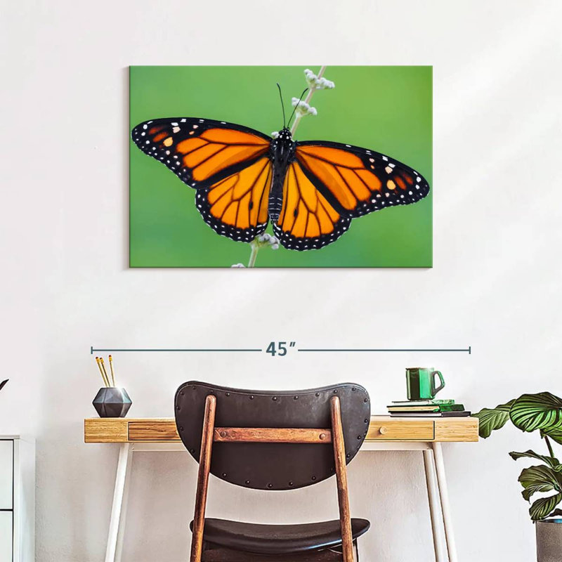 Brampt Pretty Monarch Butterfly, 24" H x 36" W