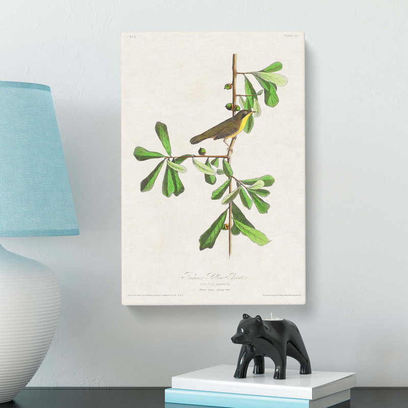 Roscoes Bird by John Audubon - Wrapped Canvas, 60cm H x 40cm W x 3cm D