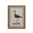 Wading Bird Prints, Set of 4