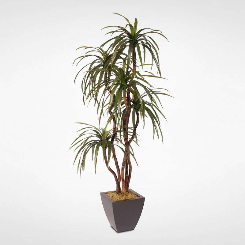 Faux Yucca Tree in Metal Planter
