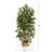 64'' Faux Bamboo Tree in Planter-1946822589