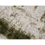 Tapis à motif abstrait vert / beige 5 pi x 8 pi (5 pi 3 po x 7 pi 7 po) Silvan-1947512162