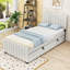 Lit plateforme simple tapissier avec lit gigogne simple-480073508