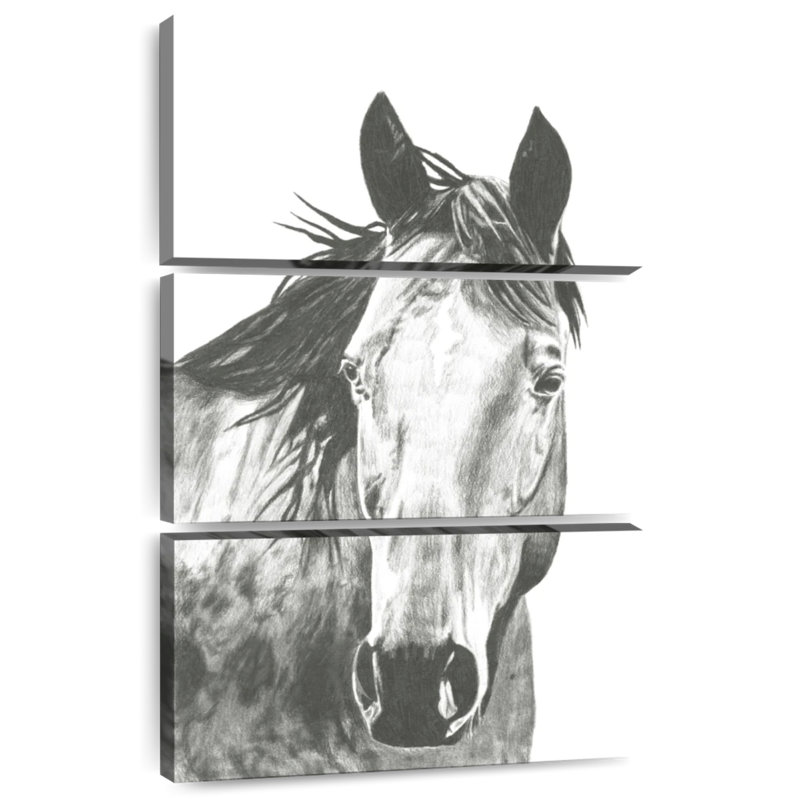 Illustration de la faune cheval I, H 50 po x l 32 po