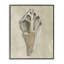 Estampe numérique Broken Conch Shell, conception de Michael Willett-114336594-114336593