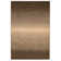 Ombre Indoor Rug