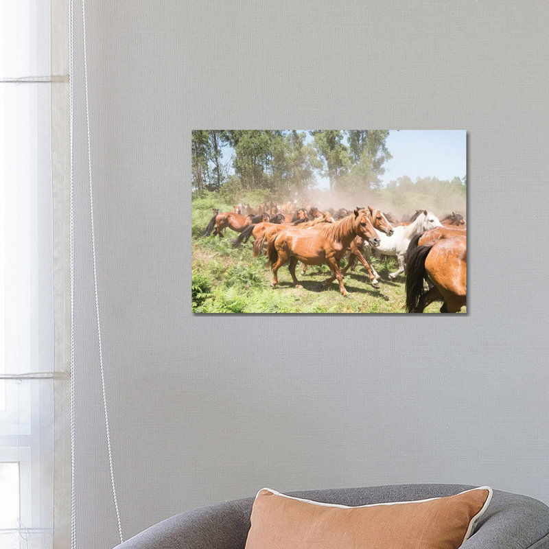 Stampede by Andrew Lever - Wrapped Canvas Print