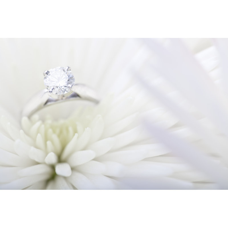 Engagement Ring In White Daisy by ChristopherBernard - No Frame Art Prints on Canvas, 81cm H x 122cm W