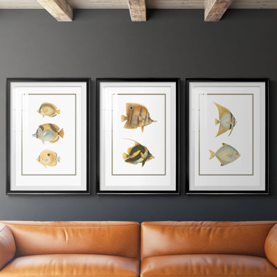 Antique Tropical Fish I  -Custom Framed  Premium Print W Matt - 3 Pieces