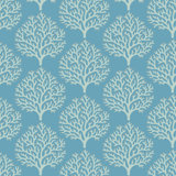 Beach Coral - Wallpaper