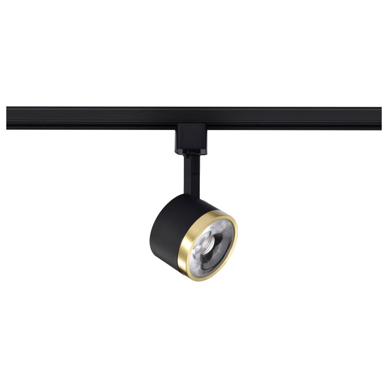 Matte Black and Brushed Brass LED Adjustable Track Head