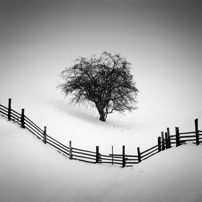 Wrapped Canvas Print, 50.8 cm H x 50.8 cm W