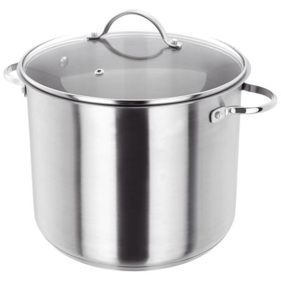 Judge Stainless Steel Stockpot with Twin Handles