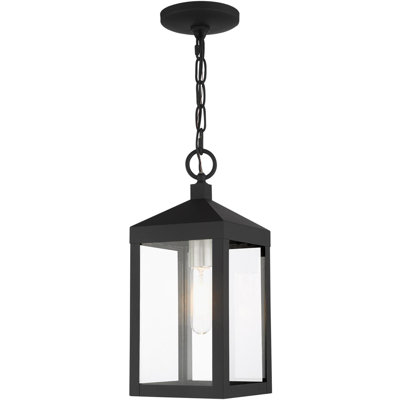 Luminaire extérieur lanterne 6,25 po avec abat-jour en verre transparent