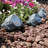 Low Voltage Solar Powered Integrated LED Spotlight