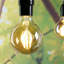 G95 LED Dimmable B22 4W Bulb