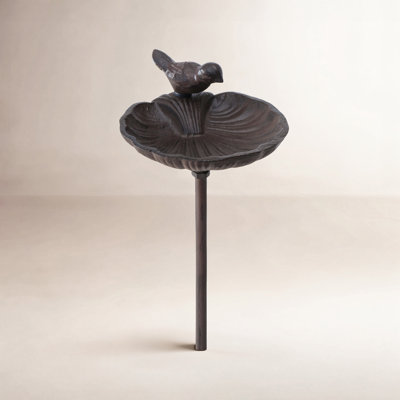 Aleana Birdbath