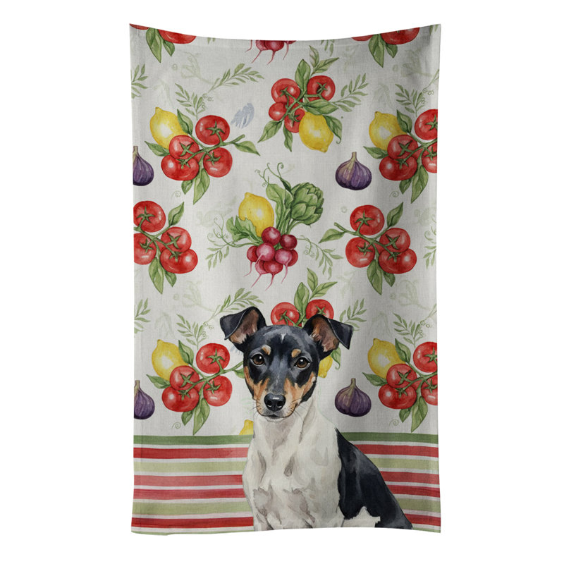 Torchon noir et blanc Rat Terrier, Black/White Rat Terrier