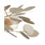 Lunaria 3 - Light Semi Flush Mount-371731790