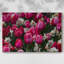 Ressemble à une toile tendue sur toile Spring-Gallery-929293952