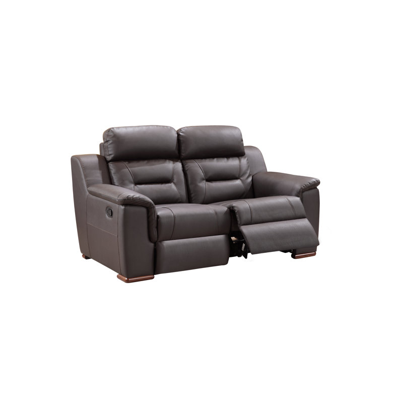 Annahi 67'' Faux Leather Reclining Loveseat, Brown