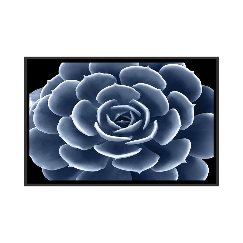 «Succulent IV», impression sur toile, H 18 po x l 26 po x P 1,5 po, Toile avec cadre noir