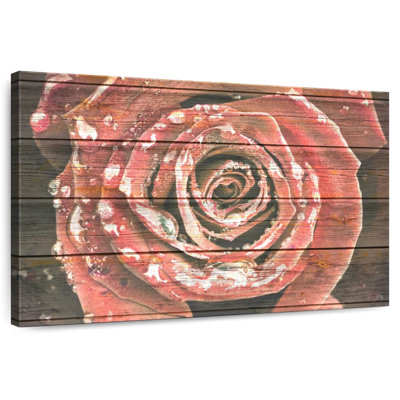 Harnek Red Rose On Wood