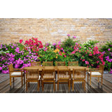 Ceri Outdoor 11 - Piece Teak Dining Set with Cushions