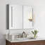 40'' W Mirrored Medicine Cabinet