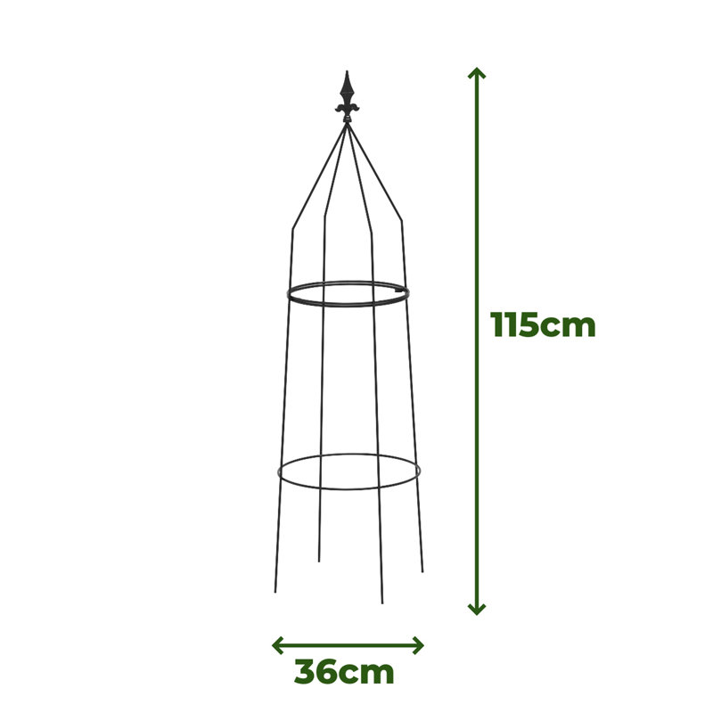 Ardiana Metal Plant Support, Black, 195cm H x 48cm W x 48cm D, 2