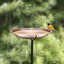 Bain d'oiseaux Faus