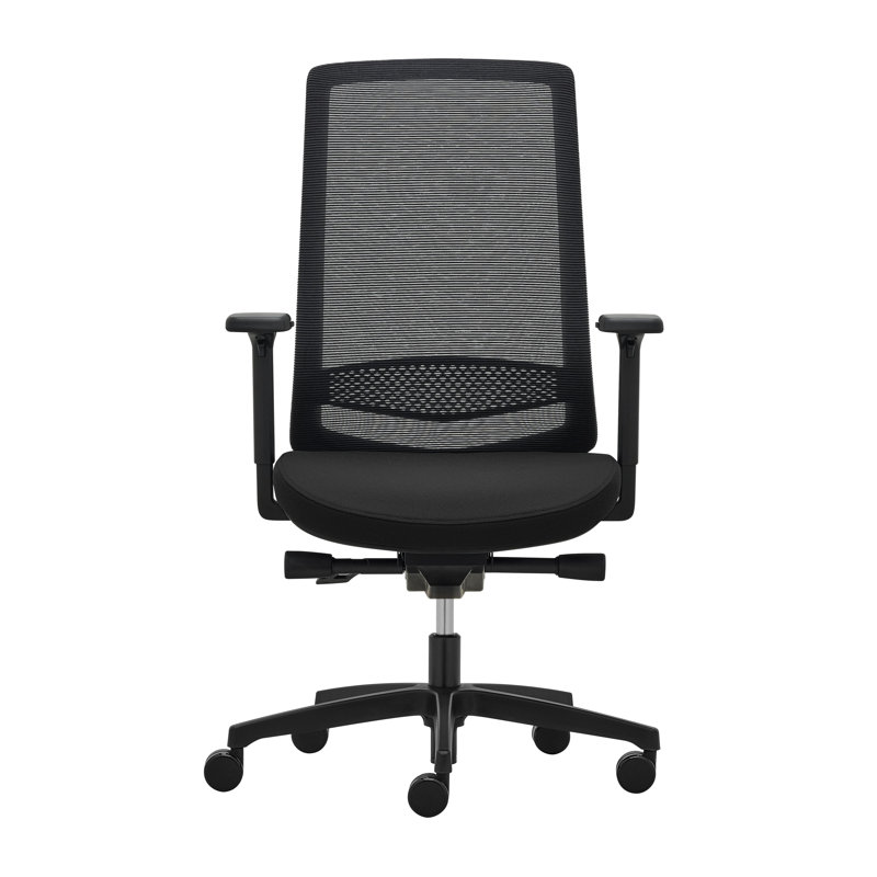Manjula Foam Padding Office Chair, Black